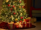 Vesel� Vianoce a ��astn� nov� rok